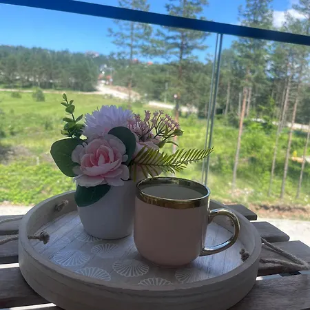 Borovi 14 Apartamento