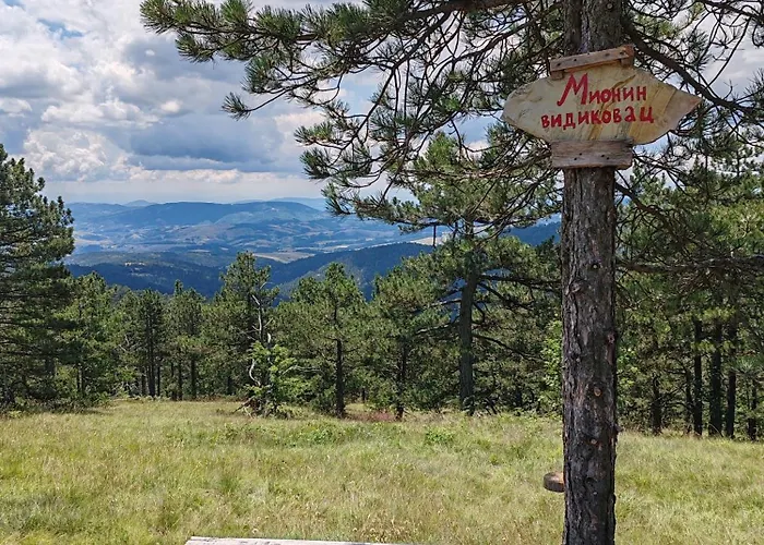 Borovi 14 Divčibare